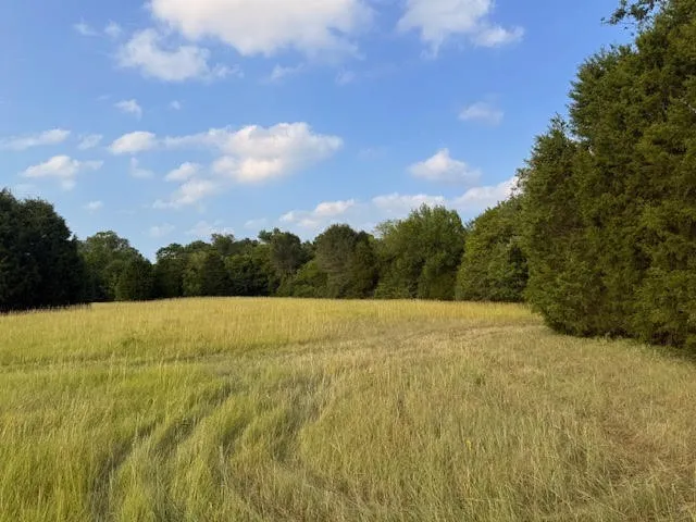County Road 2500 Eustace, TX 75124