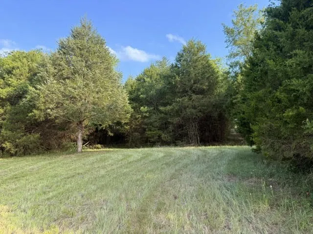 County Road 2500 Eustace, TX 75124