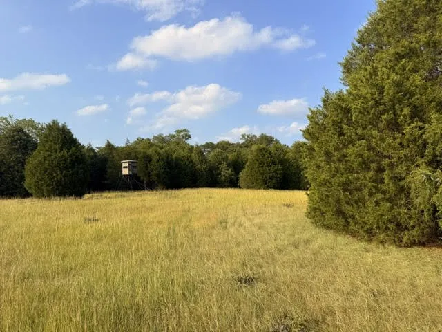 County Road 2500 Eustace, TX 75124