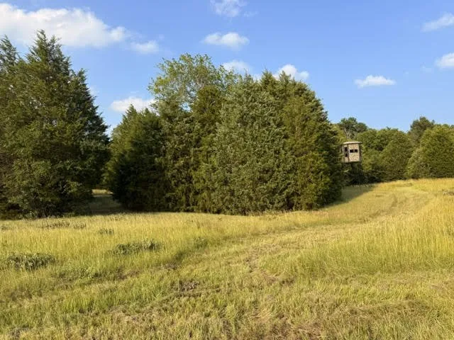County Road 2500 Eustace, TX 75124