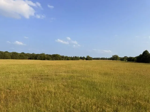 County Road 2500 Eustace, TX 75124