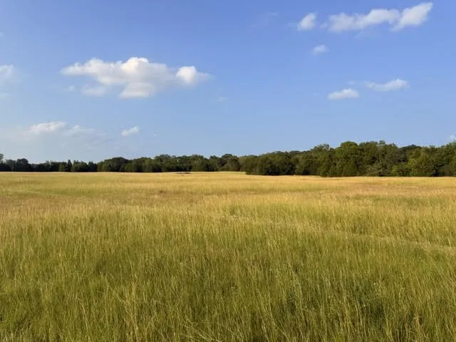 County Road 2500 Eustace, TX 75124