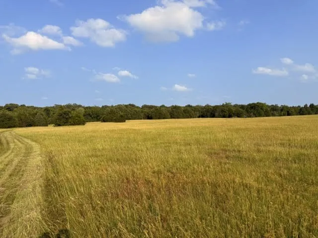 County Road 2500 Eustace, TX 75124