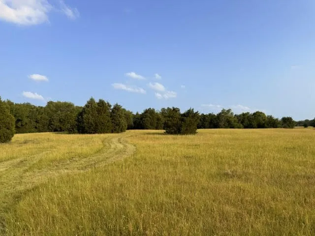 County Road 2500 Eustace, TX 75124