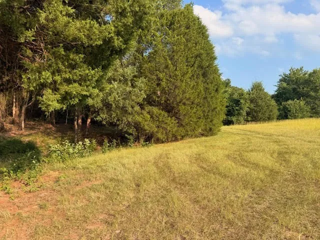 County Road 2500 Eustace, TX 75124
