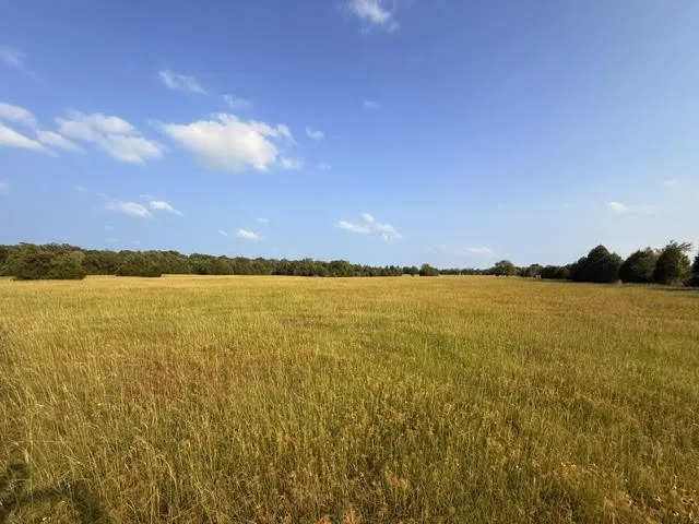 County Road 2500 Eustace, TX 75124
