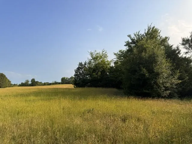 County Road 2500 Eustace, TX 75124