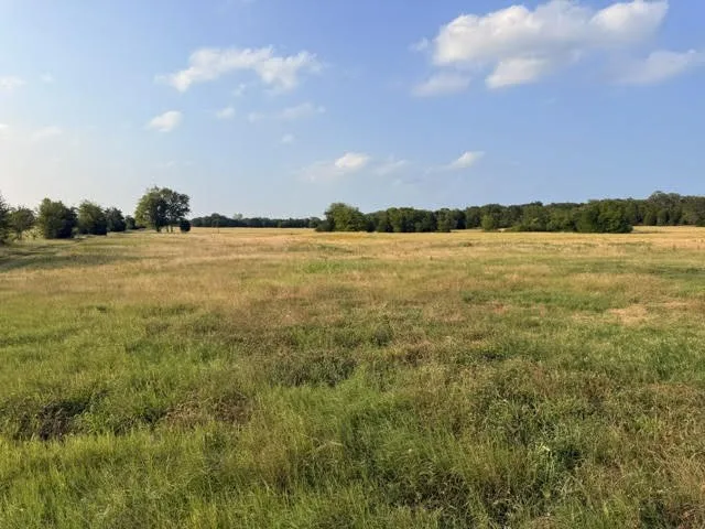 County Road 2500 Eustace, TX 75124