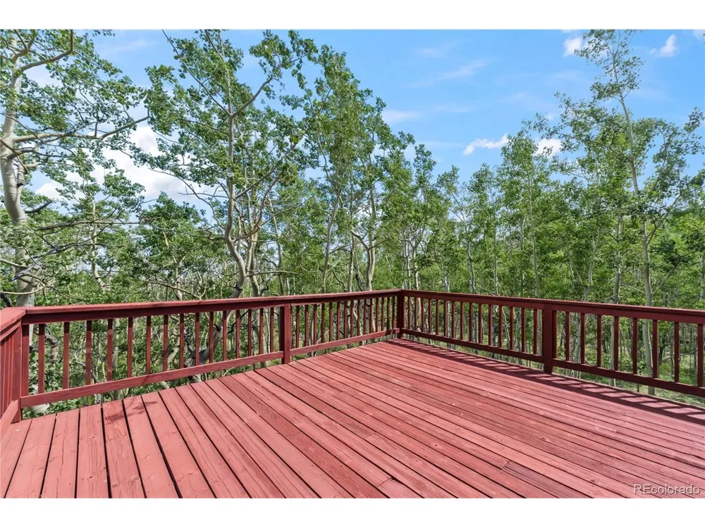 56 Sheep Ridge Road Fairplay, CO 80440