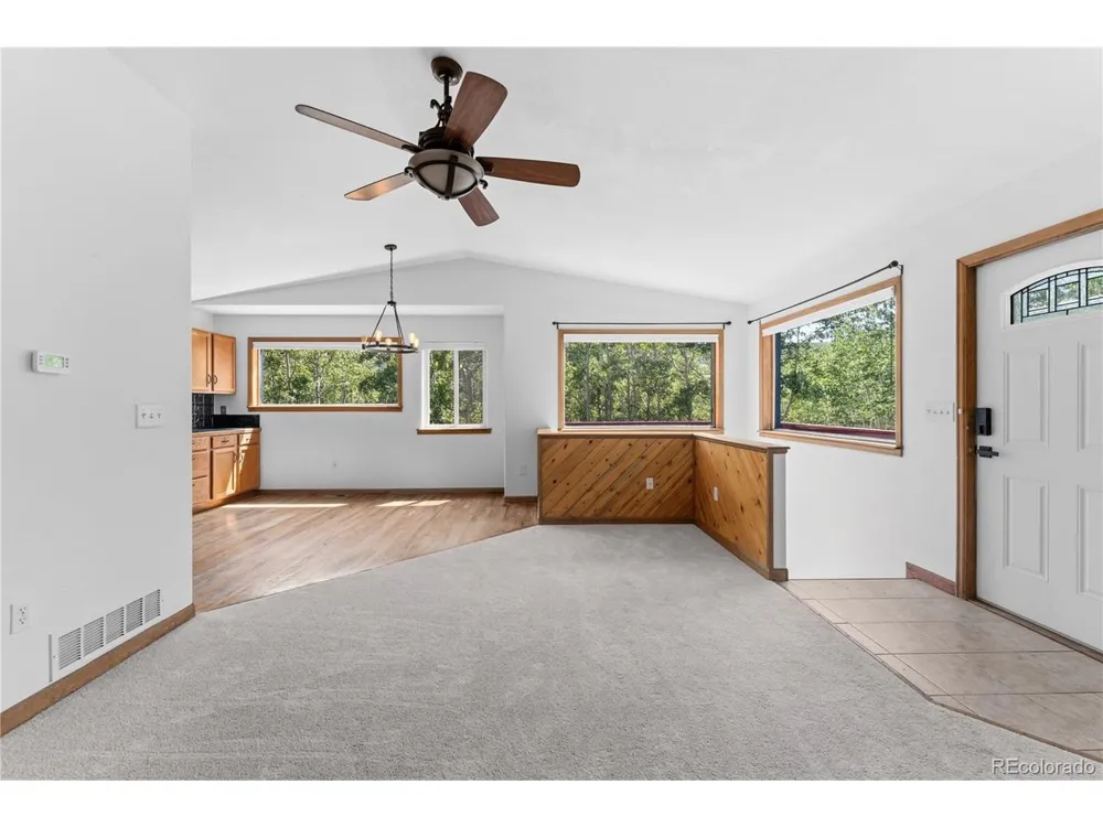 56 Sheep Ridge Road Fairplay, CO 80440