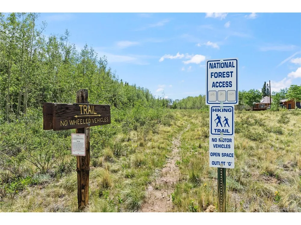 56 Sheep Ridge Road Fairplay, CO 80440