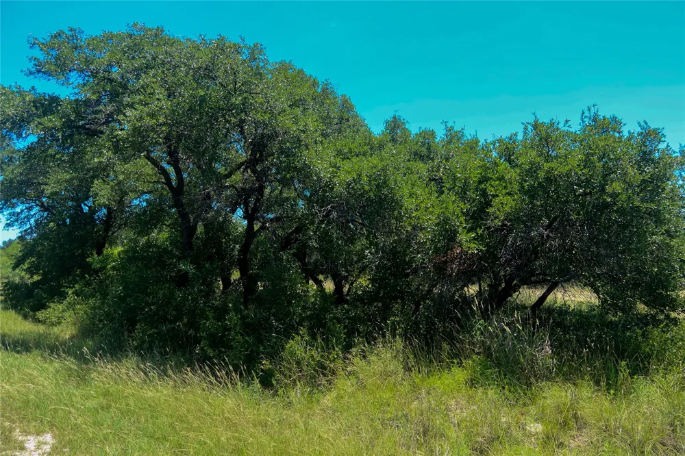 Feather Bay Drive Brownwood, TX 76801