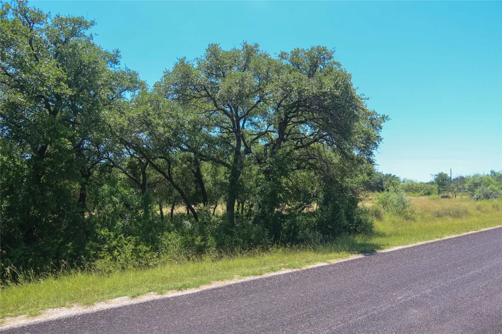 Feather Bay Drive Brownwood, TX 76801