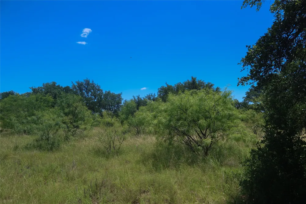 Feather Bay Drive Brownwood, TX 76801