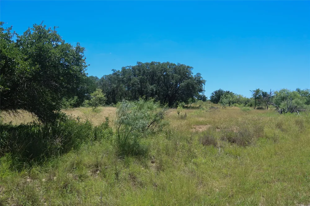 Feather Bay Drive Brownwood, TX 76801