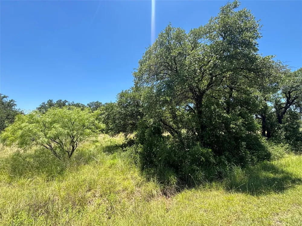 Feather Bay Drive Brownwood, TX 76801