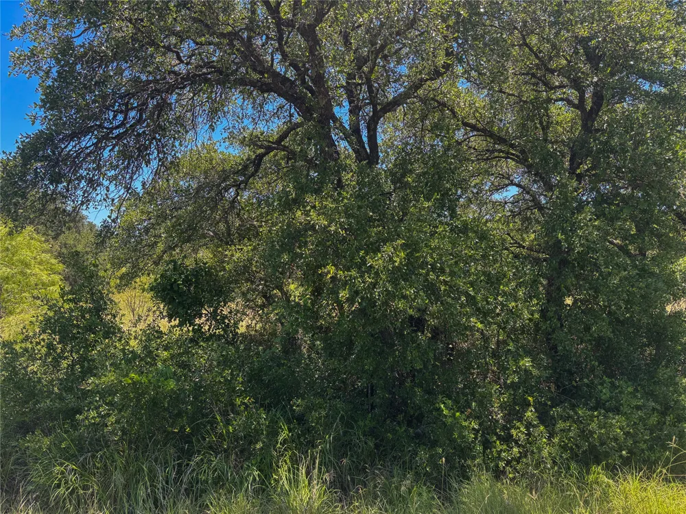 Feather Bay Drive Brownwood, TX 76801