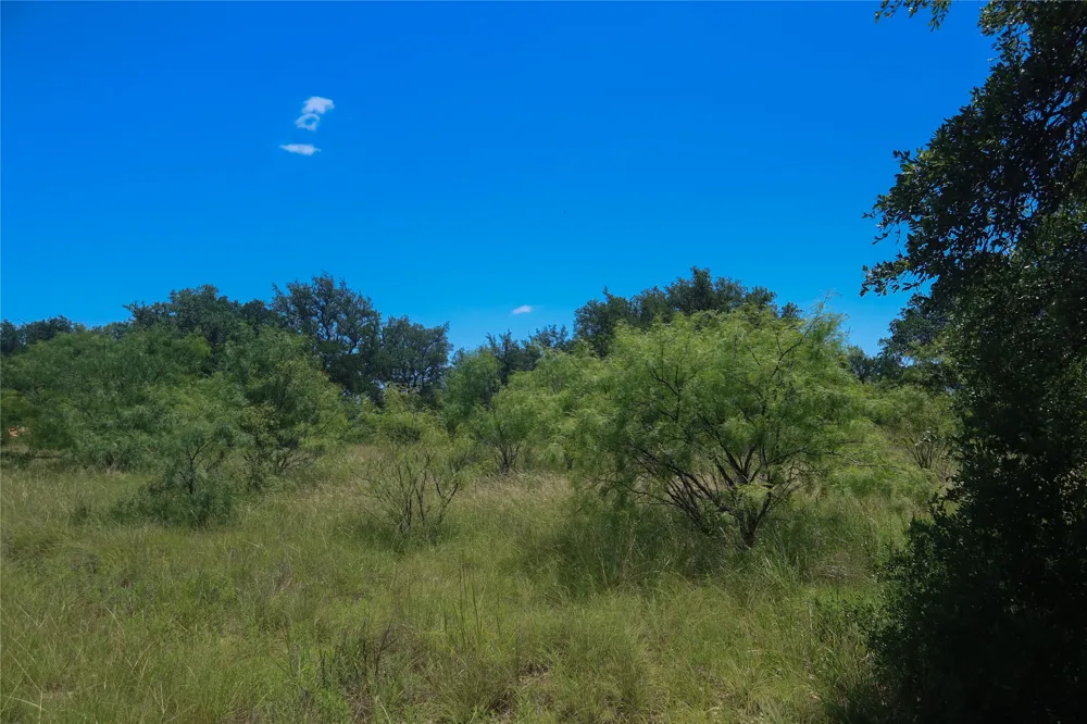 Feather Bay Drive Brownwood, TX 76801