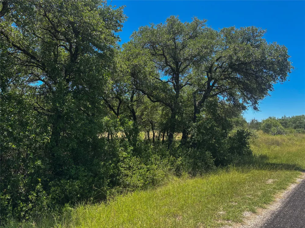 Feather Bay Drive Brownwood, TX 76801