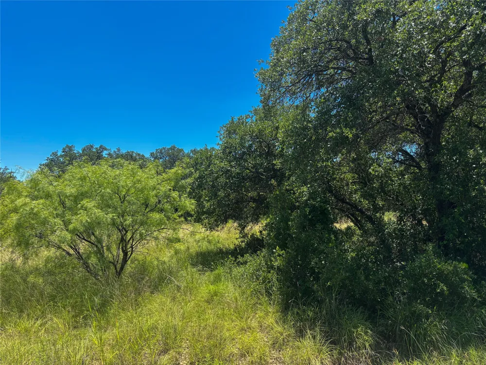 Feather Bay Drive Brownwood, TX 76801