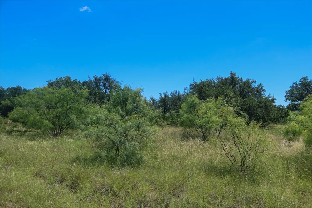 Feather Bay Drive Brownwood, TX 76801