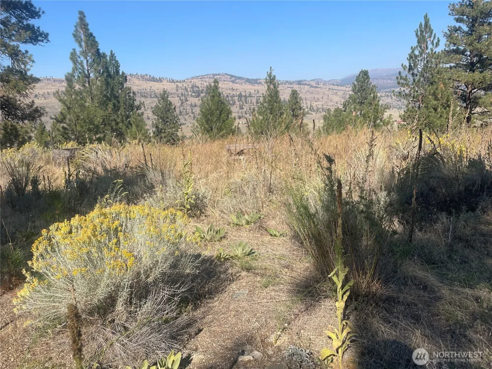 0 TBD Reevas Basin Road Tonasket, WA 98855