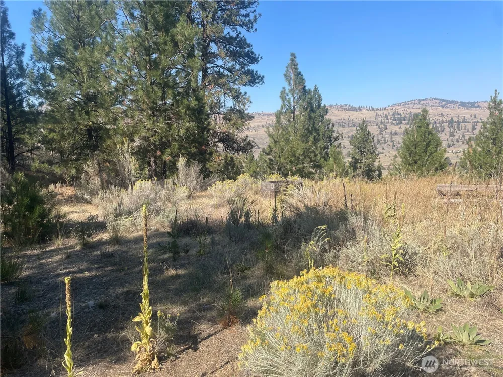 0 TBD Reevas Basin Road Tonasket, WA 98855