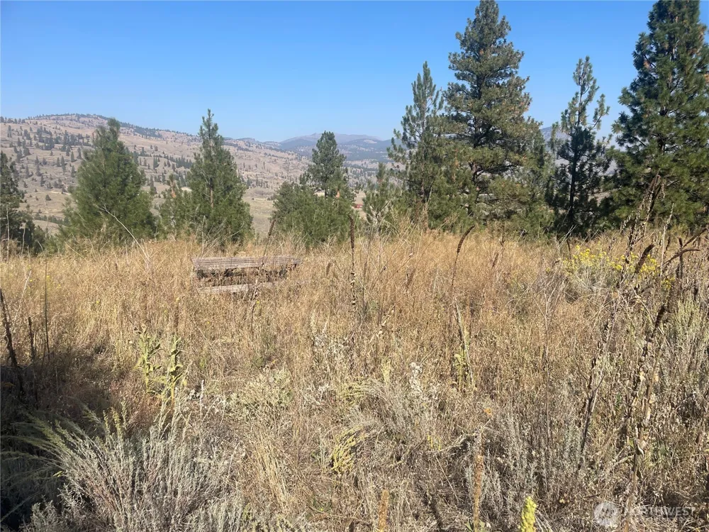 0 TBD Reevas Basin Road Tonasket, WA 98855
