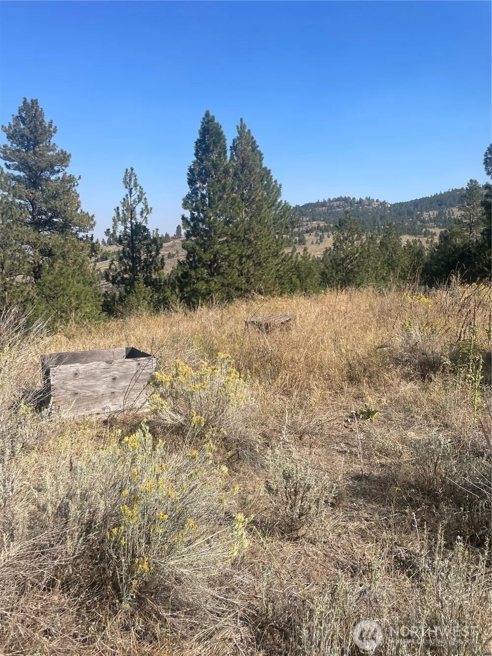 0 TBD Reevas Basin Road Tonasket, WA 98855