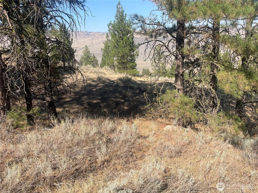0 TBD Reevas Basin Road Tonasket, WA 98855