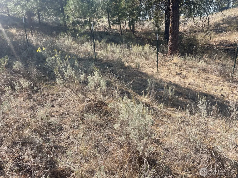 0 TBD Reevas Basin Road Tonasket, WA 98855