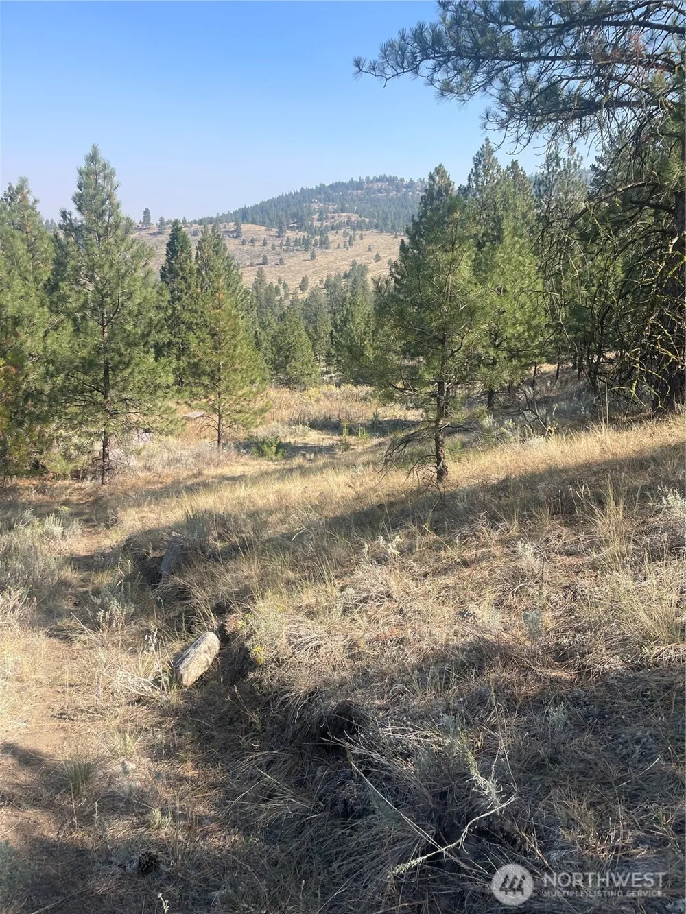 0 TBD Reevas Basin Road Tonasket, WA 98855