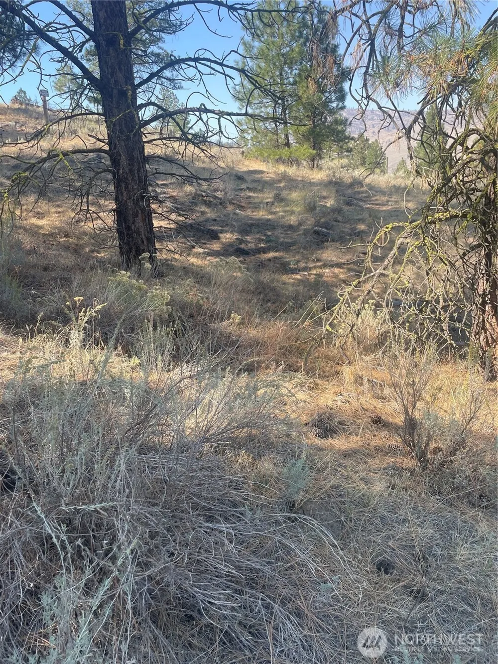 0 TBD Reevas Basin Road Tonasket, WA 98855