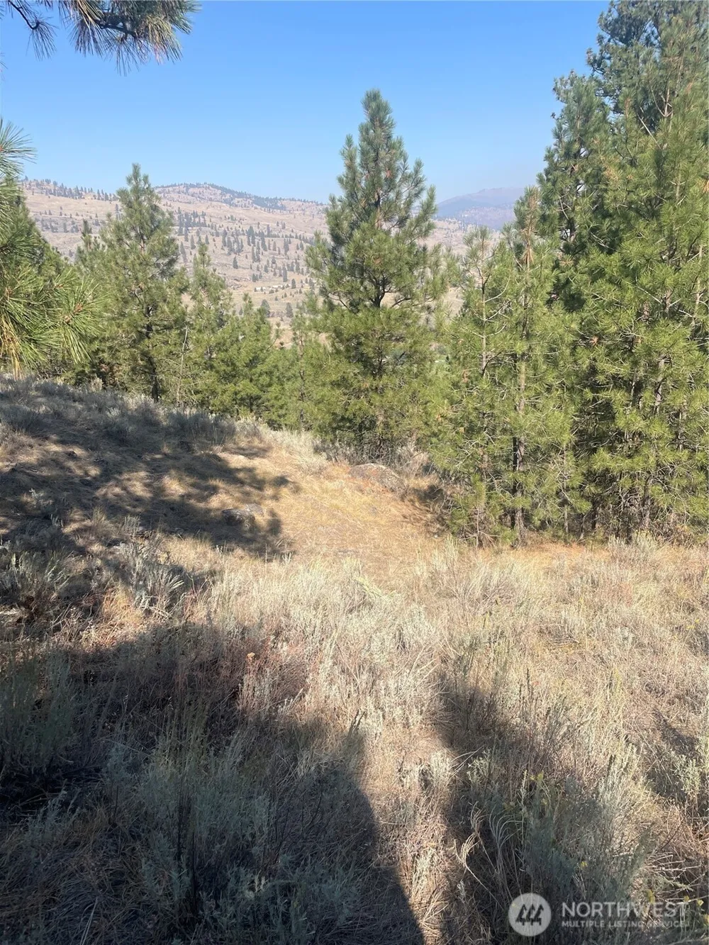 0 TBD Reevas Basin Road Tonasket, WA 98855