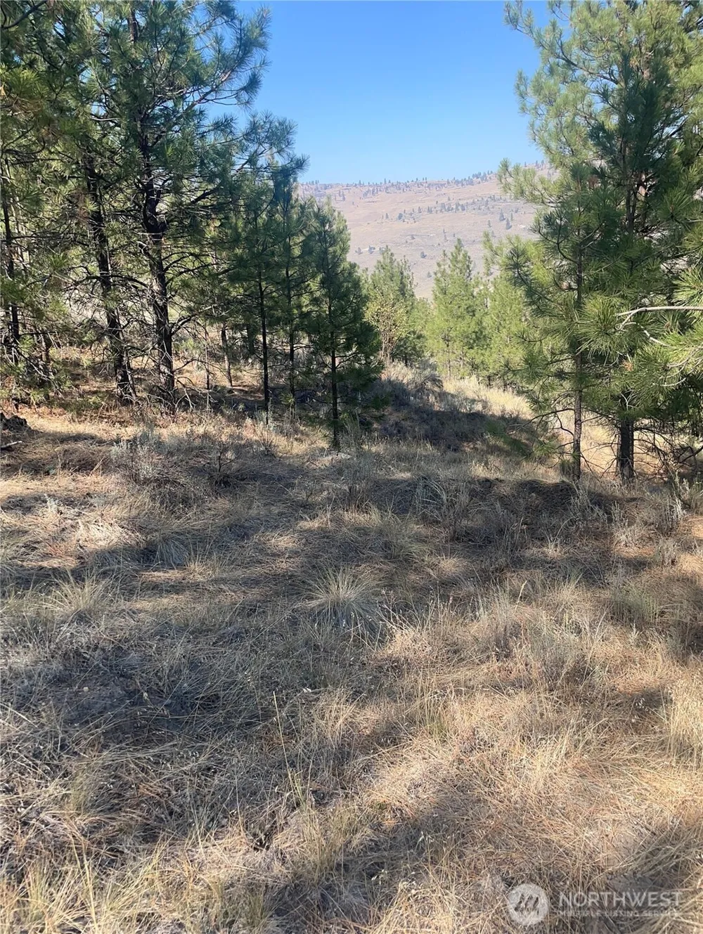 0 TBD Reevas Basin Road Tonasket, WA 98855