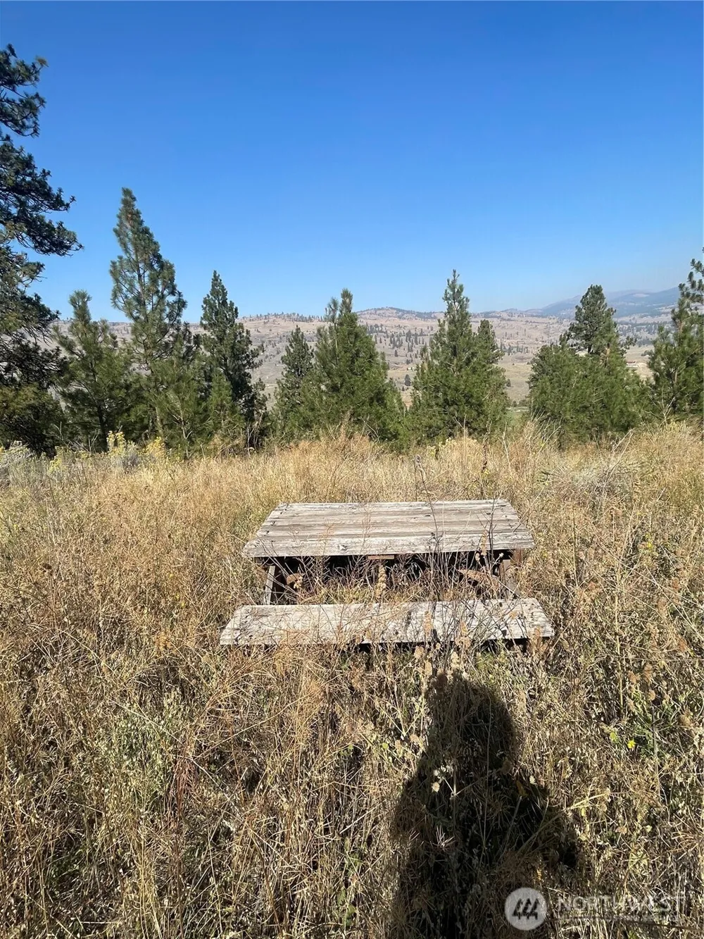 0 TBD Reevas Basin Road Tonasket, WA 98855