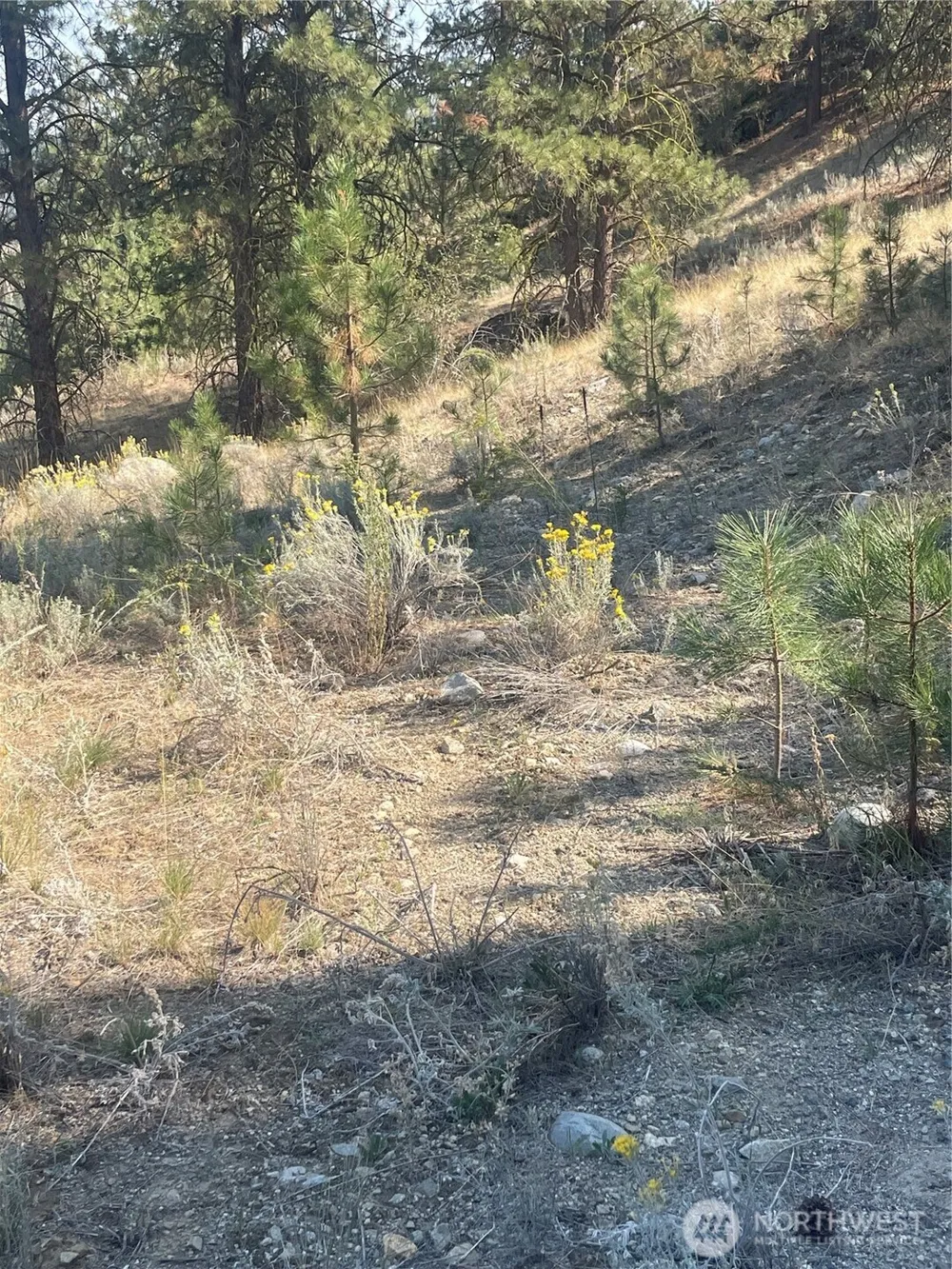 0 TBD Reevas Basin Road Tonasket, WA 98855