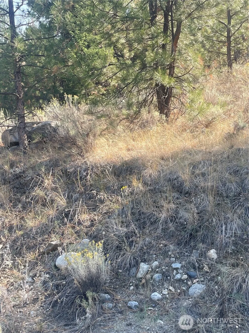 0 TBD Reevas Basin Road Tonasket, WA 98855