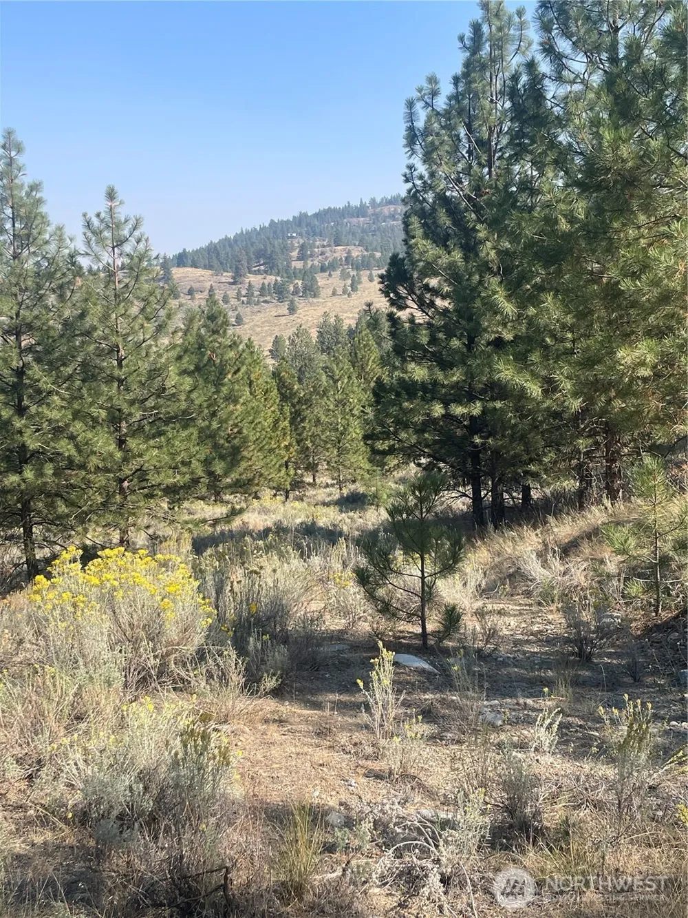 0 TBD Reevas Basin Road Tonasket, WA 98855