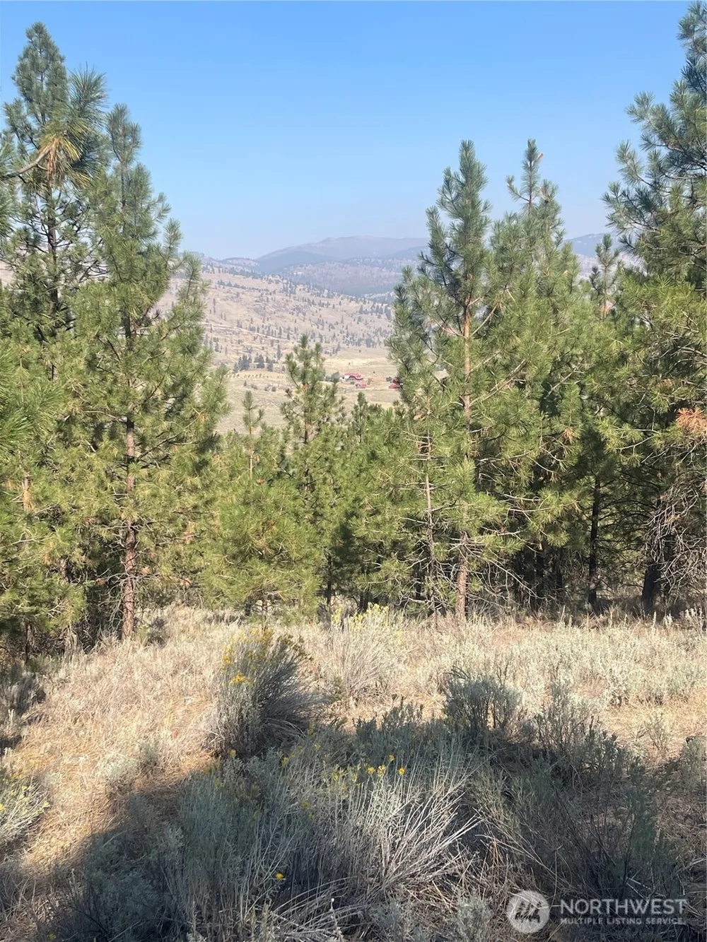 0 TBD Reevas Basin Road Tonasket, WA 98855