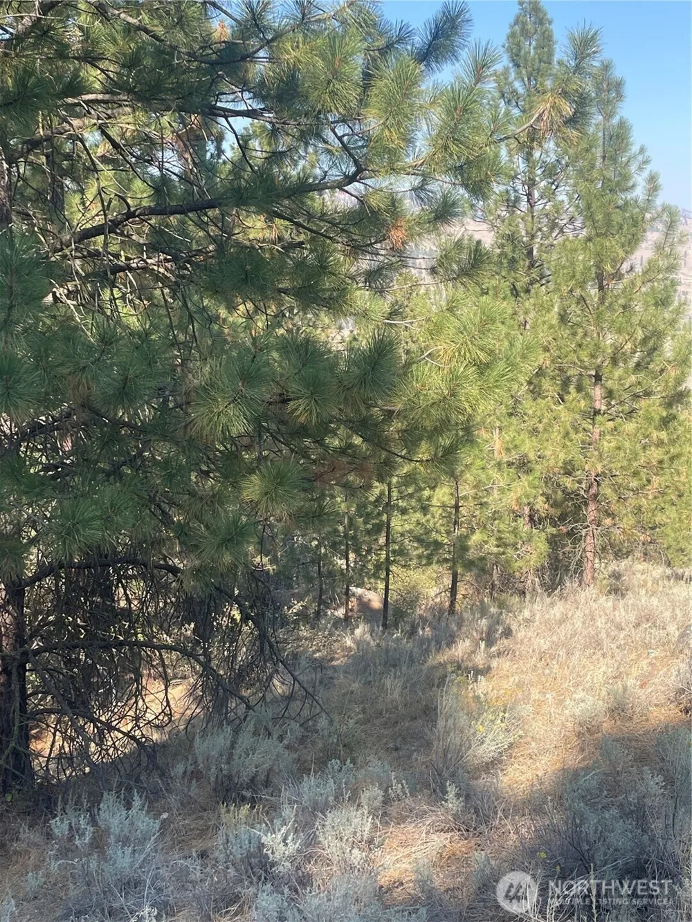 0 TBD Reevas Basin Road Tonasket, WA 98855