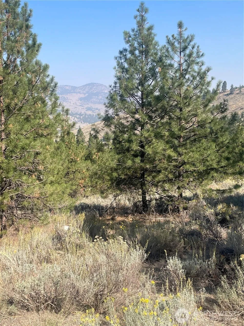 0 TBD Reevas Basin Road Tonasket, WA 98855