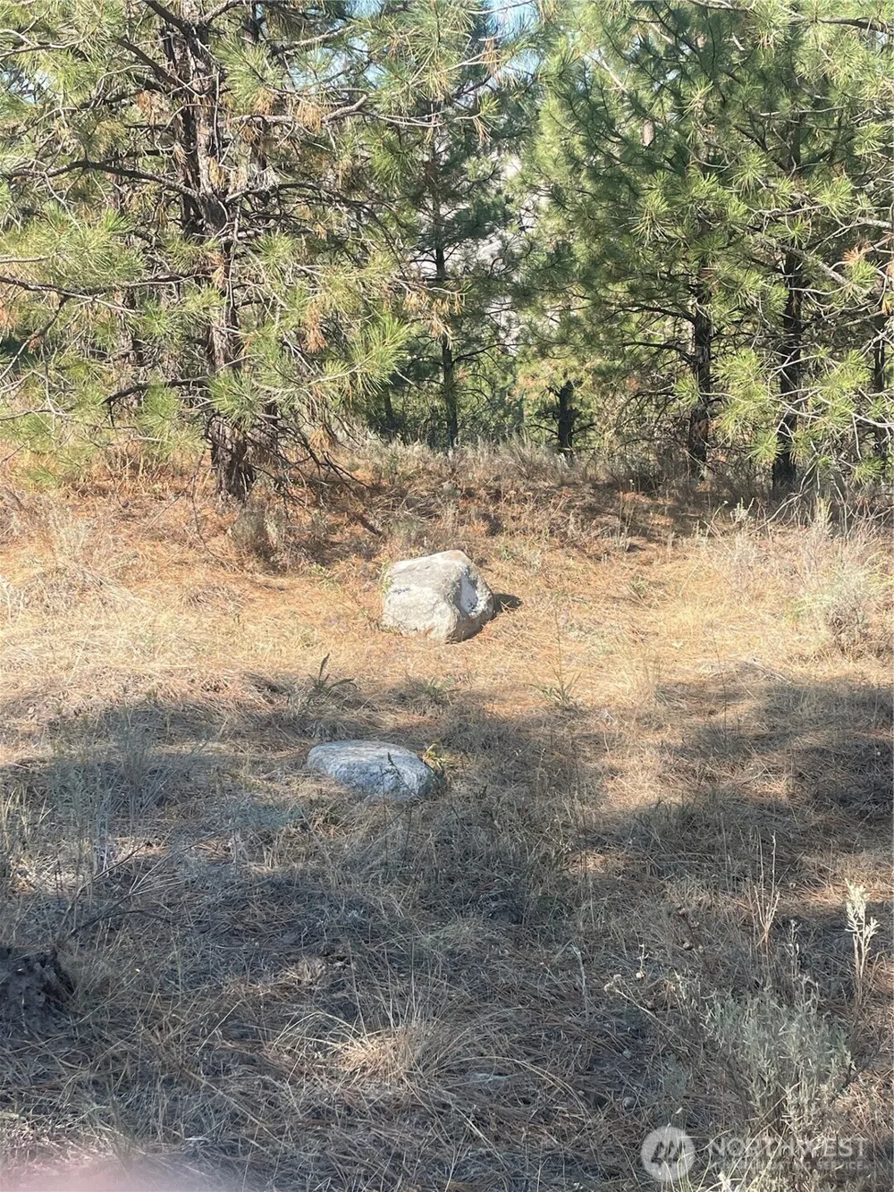 0 TBD Reevas Basin Road Tonasket, WA 98855