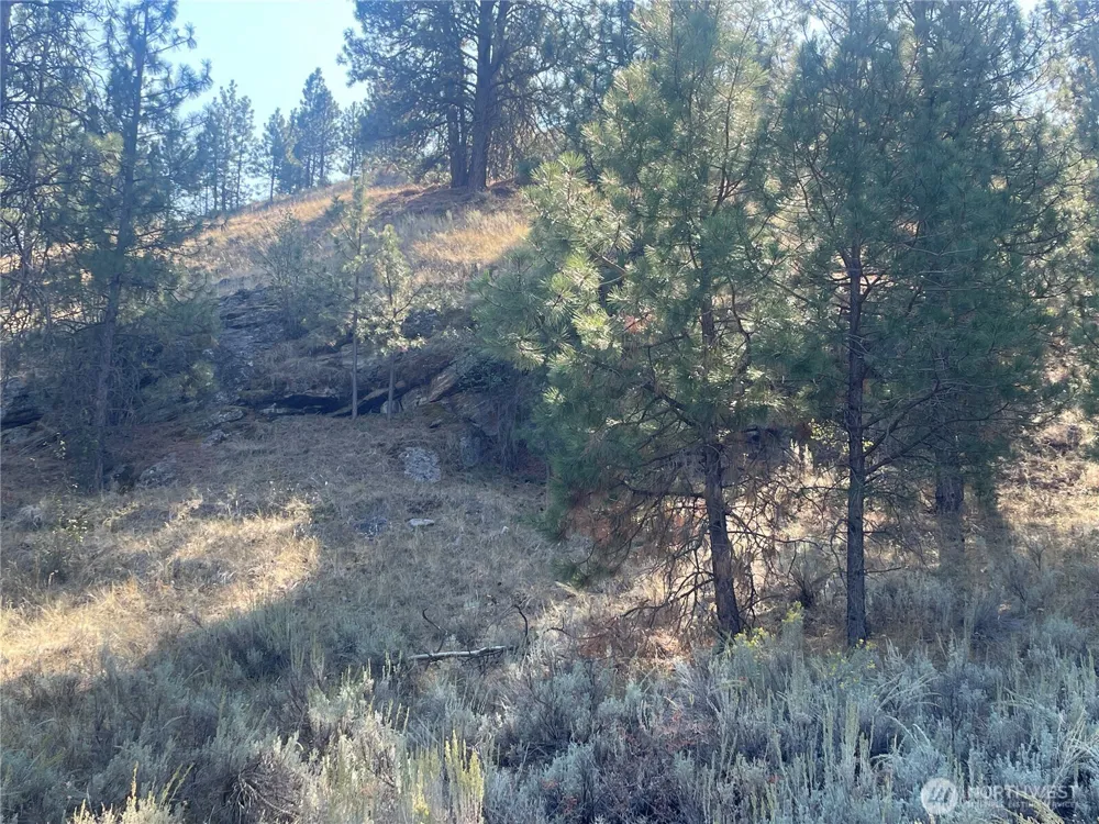 0 TBD Reevas Basin Road Tonasket, WA 98855