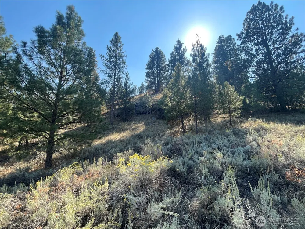 0 TBD Reevas Basin Road Tonasket, WA 98855