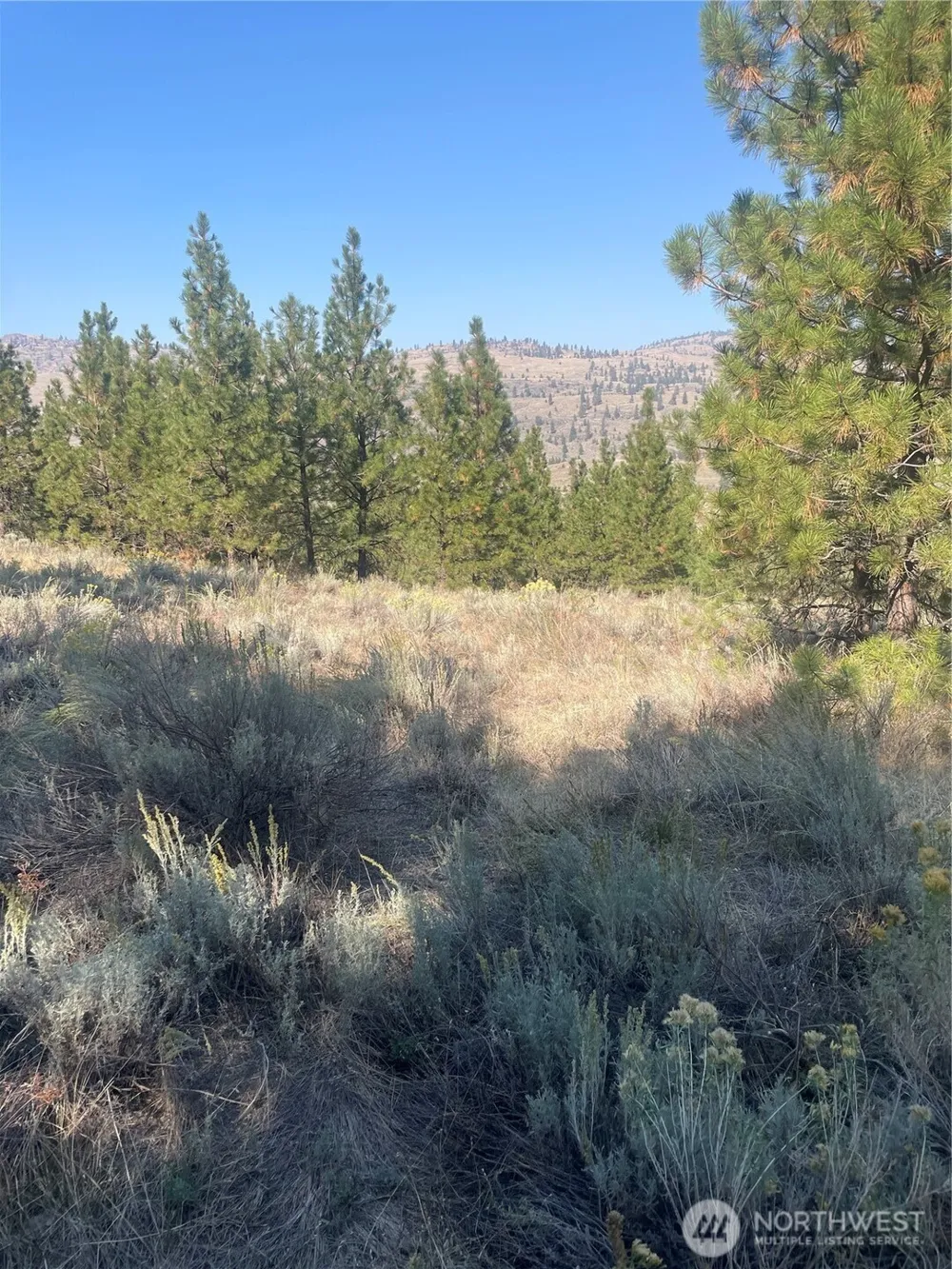 0 TBD Reevas Basin Road Tonasket, WA 98855
