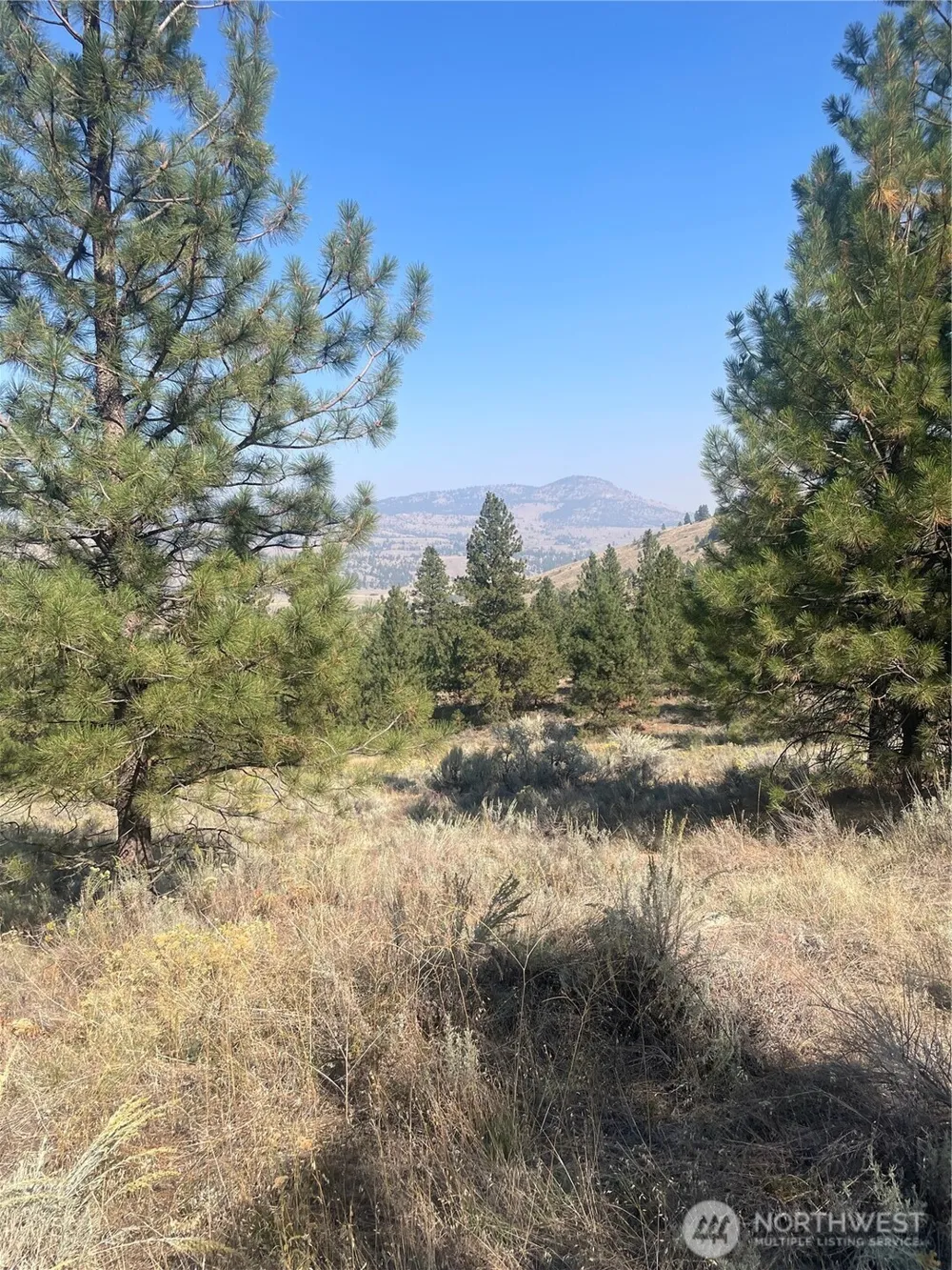 0 TBD Reevas Basin Road Tonasket, WA 98855