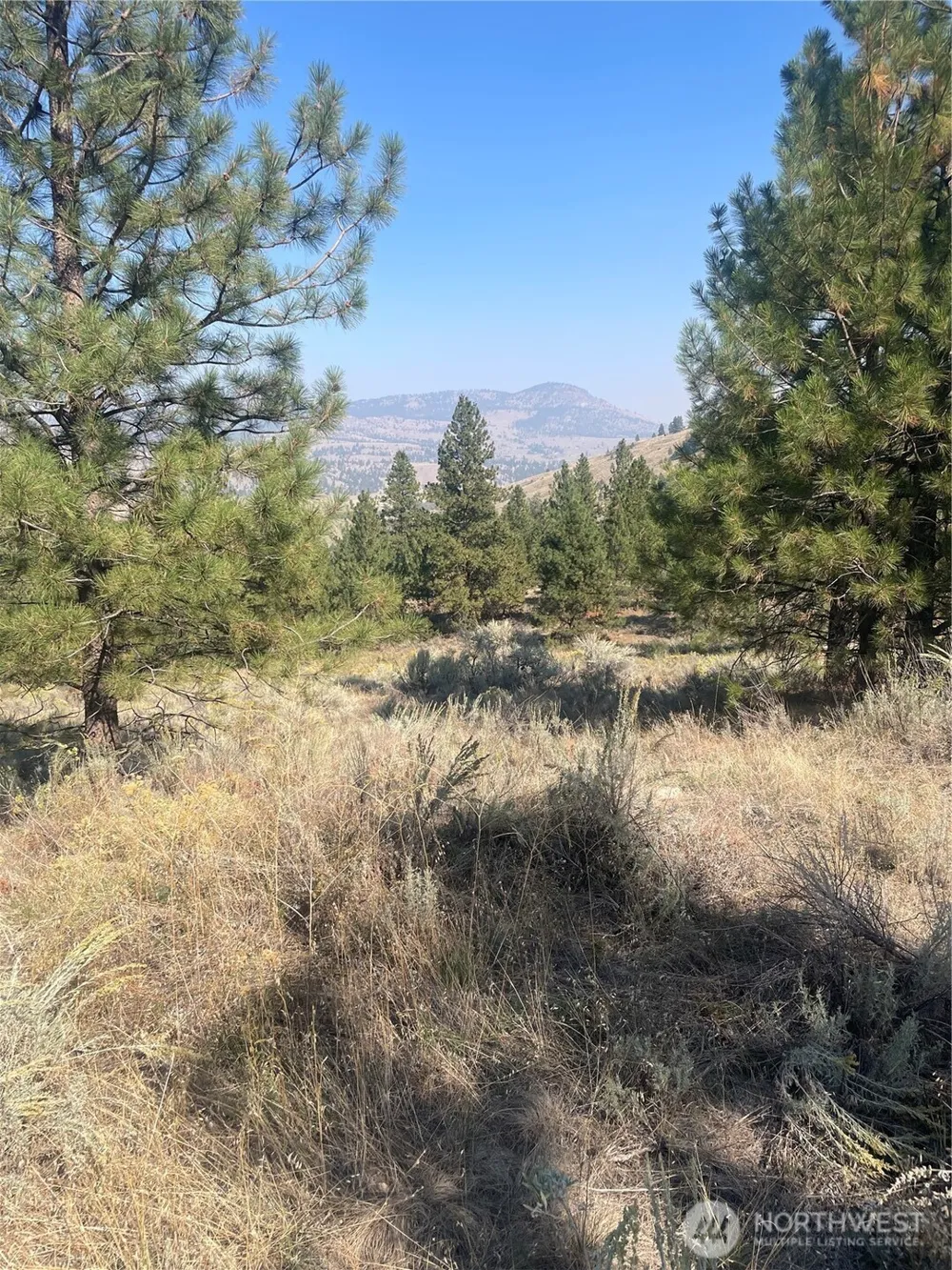 0 TBD Reevas Basin Road Tonasket, WA 98855
