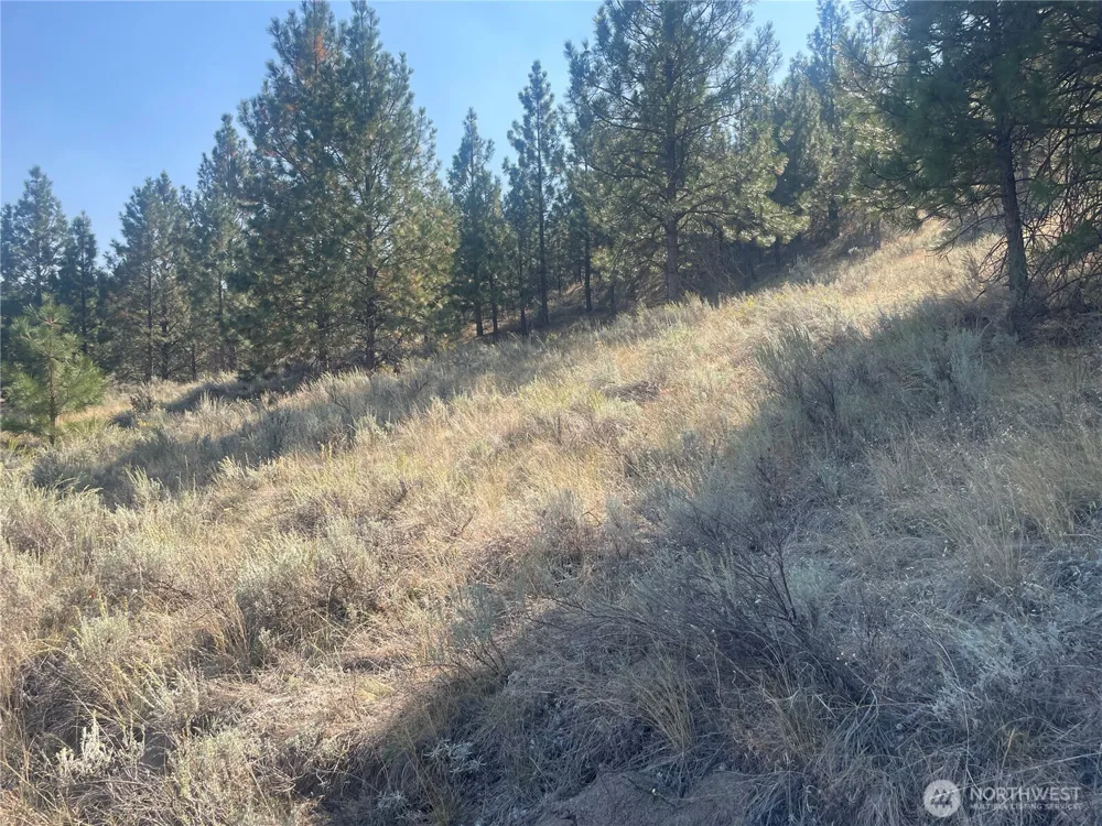 0 TBD Reevas Basin Road Tonasket, WA 98855