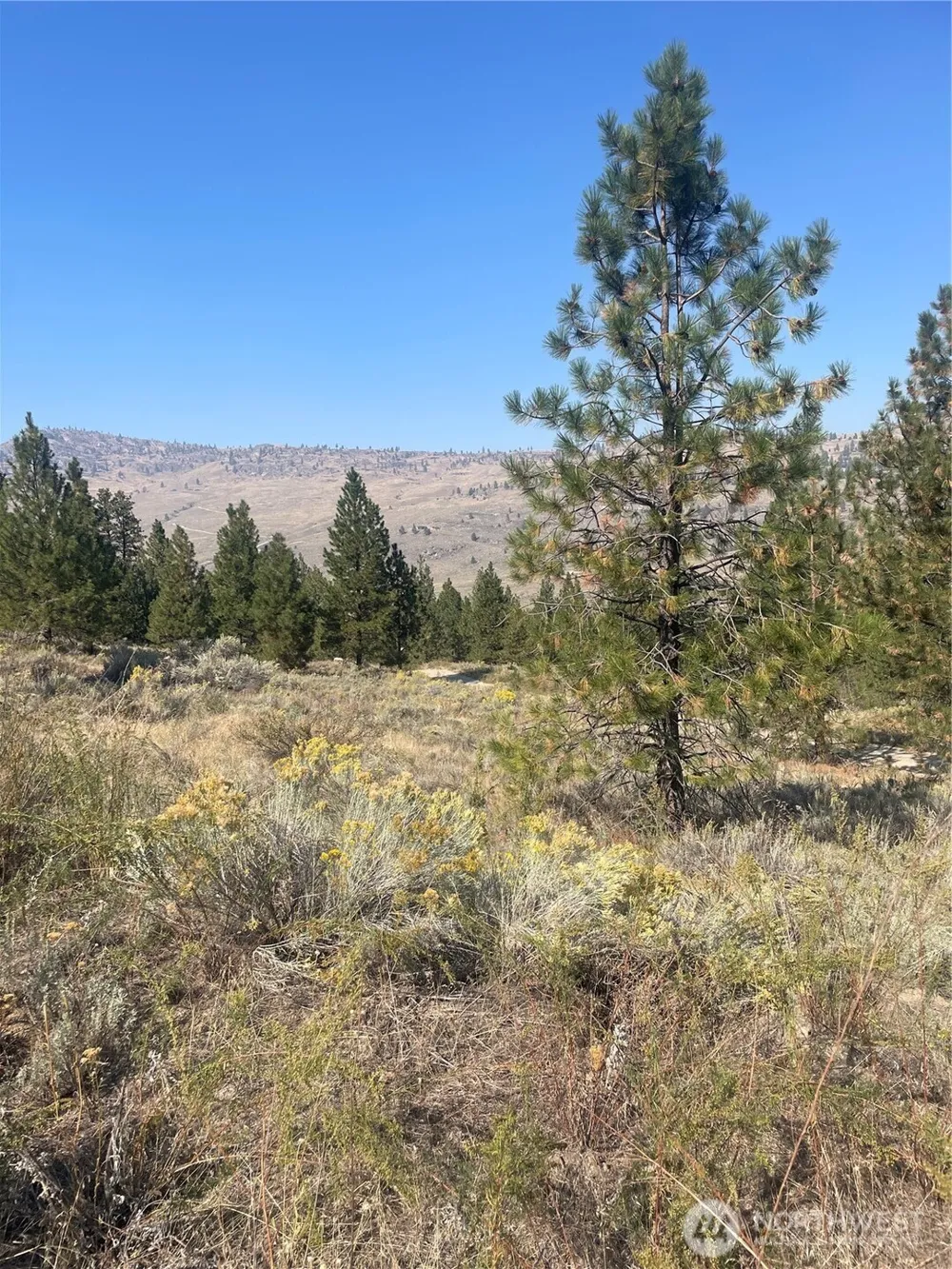 0 TBD Reevas Basin Road Tonasket, WA 98855